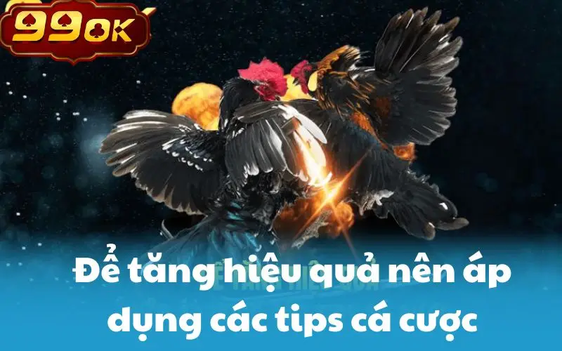 Để tăng hiệu quả nên áp dụng các tips cá cược