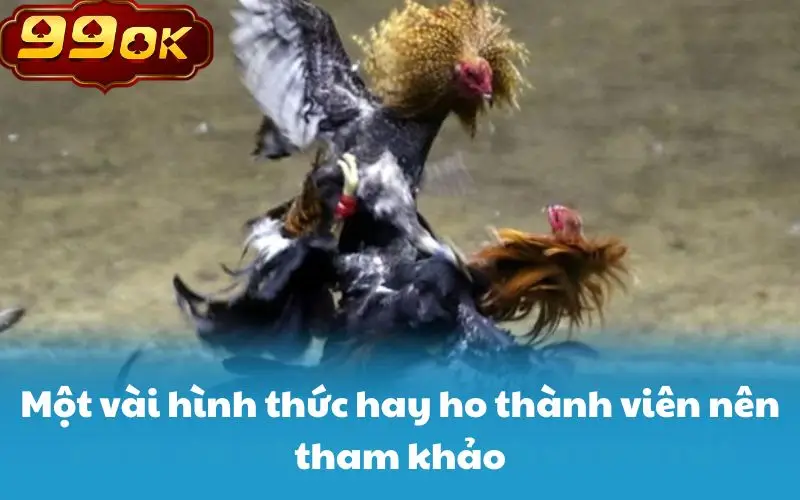 Một vài hình thức hay ho thành viên nên tham khảo