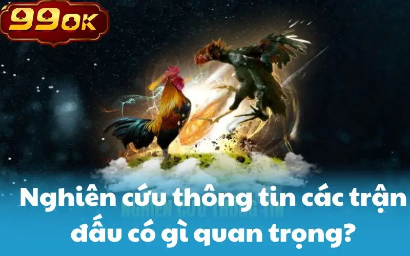 Nghiên cứu thông tin các trận đấu có gì quan trọng